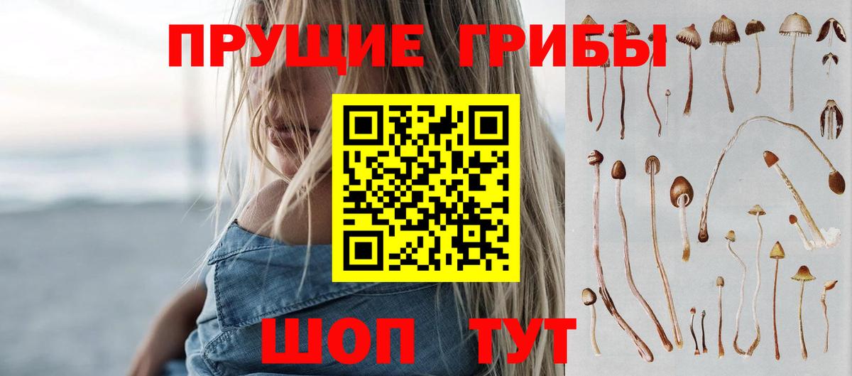 Галлюциногенные грибы Cubensis  Вход с VPN  Югорск 