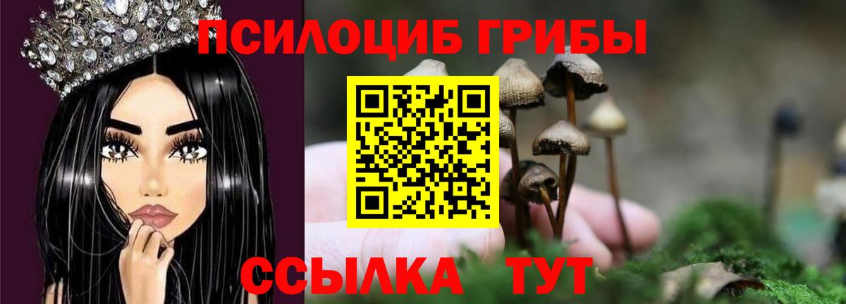 Псилоцибиновые грибы прущие грибы Югорск